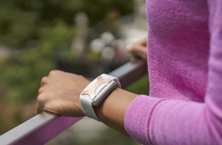 Norfolk: Can a Wearable Device Reduce Stress?